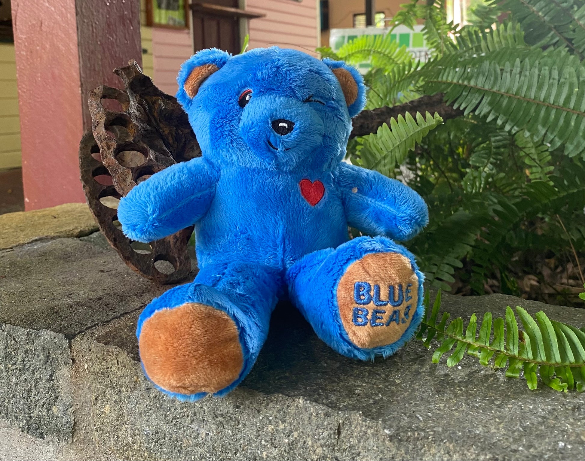 The Adventures of Blue Bear Complete Collection & Soft Toy Combo